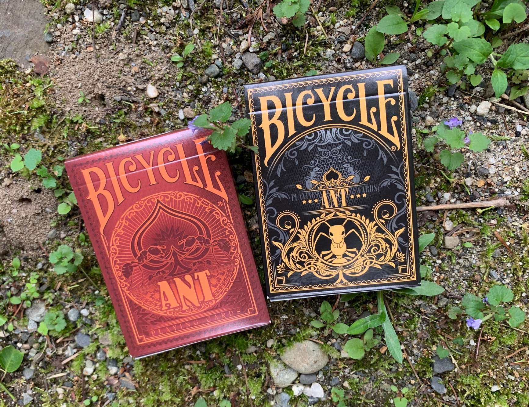 630-ant-bicycle-playing-cards-1.jpg