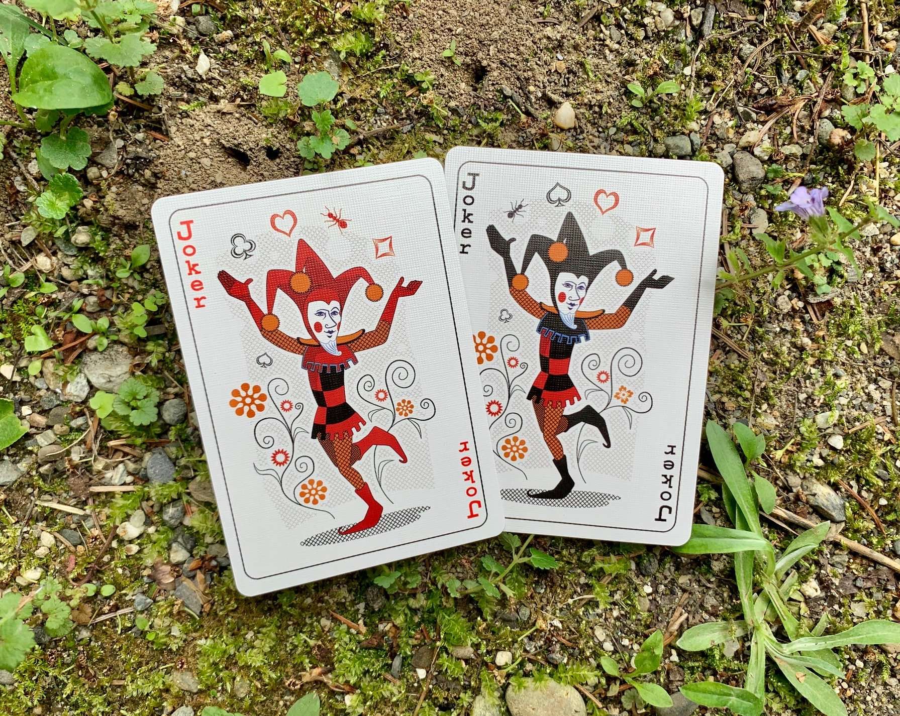 630-ant-bicycle-playing-cards-1.jpg