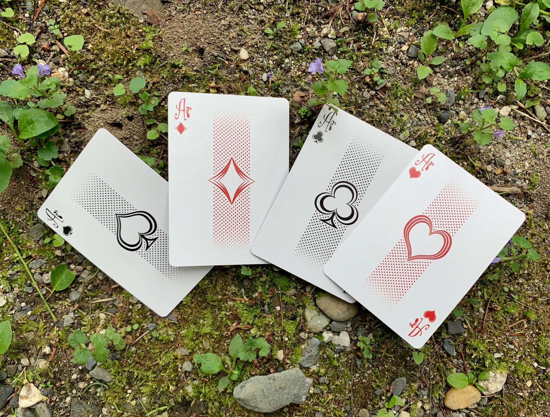 630-ant-bicycle-playing-cards-1.jpg