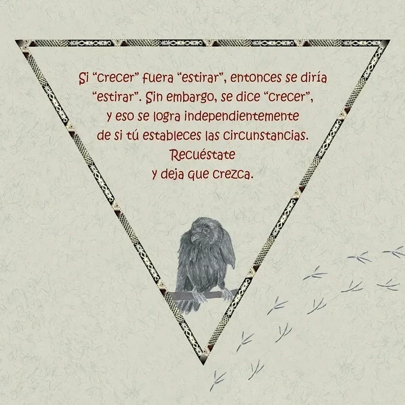 6324-spanish-raven-cards-oracle-1.webp