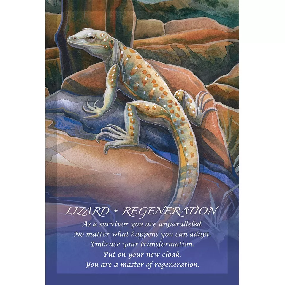 6375-spirit-of-the-animals-oracle-cards-1.webp