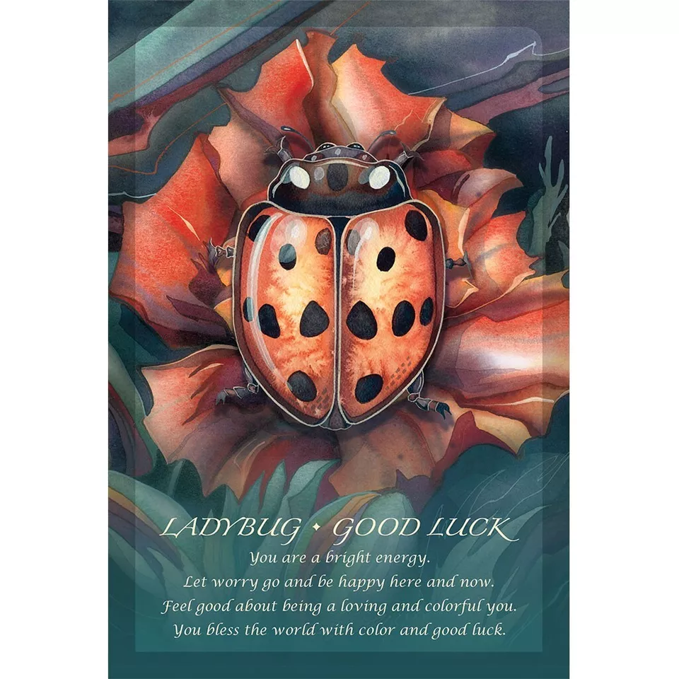 6375-spirit-of-the-animals-oracle-cards-1.webp