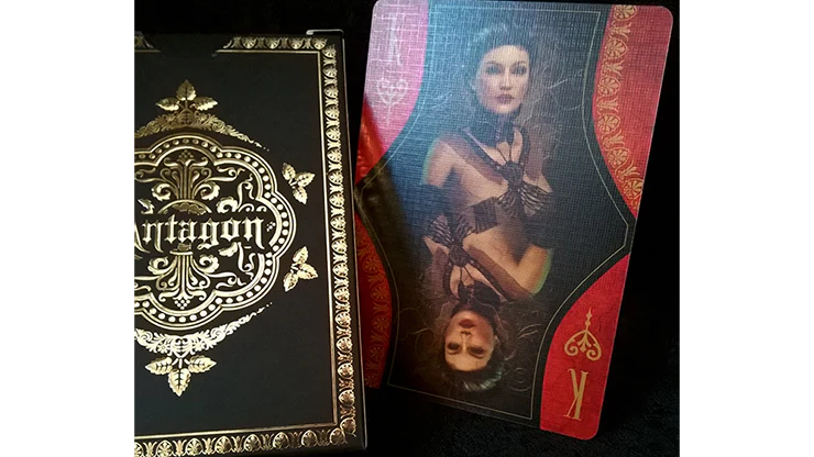 639-antagon-royal-standard-edition-playing-cards-npcc-1.jpg