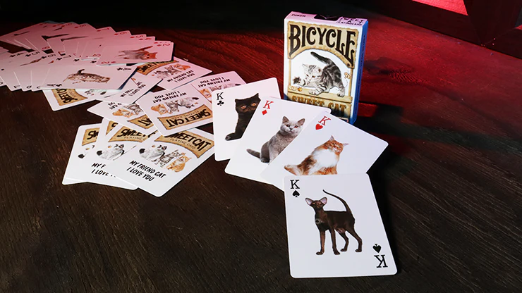 6653-sweet-cat-bicycle-playing-cards-deck-1.webp