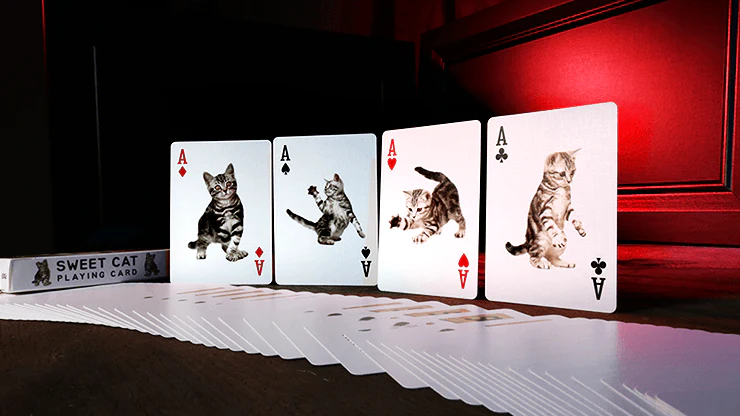 6653-sweet-cat-bicycle-playing-cards-deck-1.webp