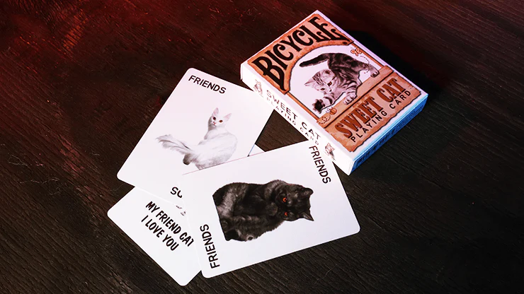 6653-sweet-cat-bicycle-playing-cards-deck-1.webp