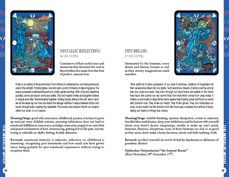6733-tarot-d-the-didactic-tarot-kit-deck-book-red-feather-1.jpg