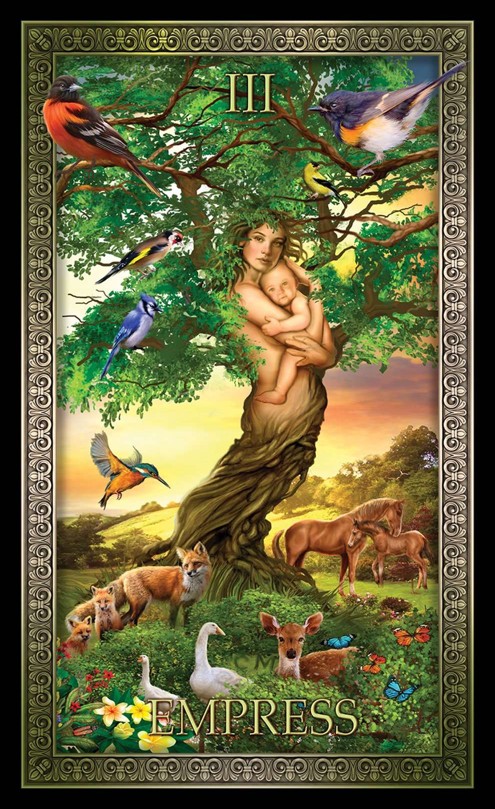6743-tarot-grand-luxe-usgs-1.jpg
