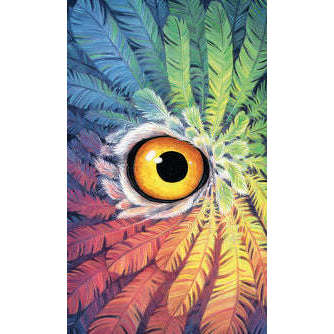 6768-tarot-of-the-owls-kit-decks-book-llewellyn-1.webp