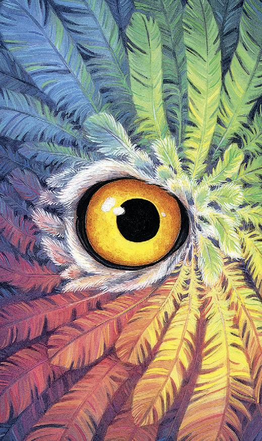 6769-tarot-of-the-owls-mini-deck-1.jpg