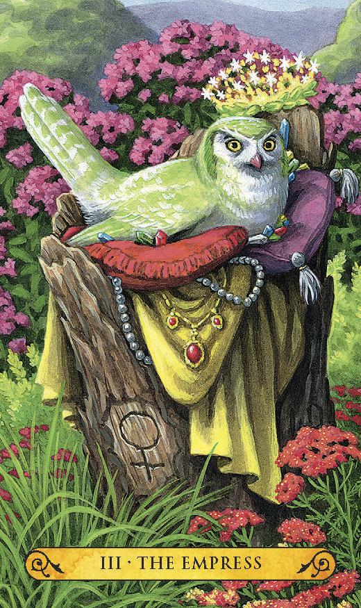 6769-tarot-of-the-owls-mini-deck-1.jpg
