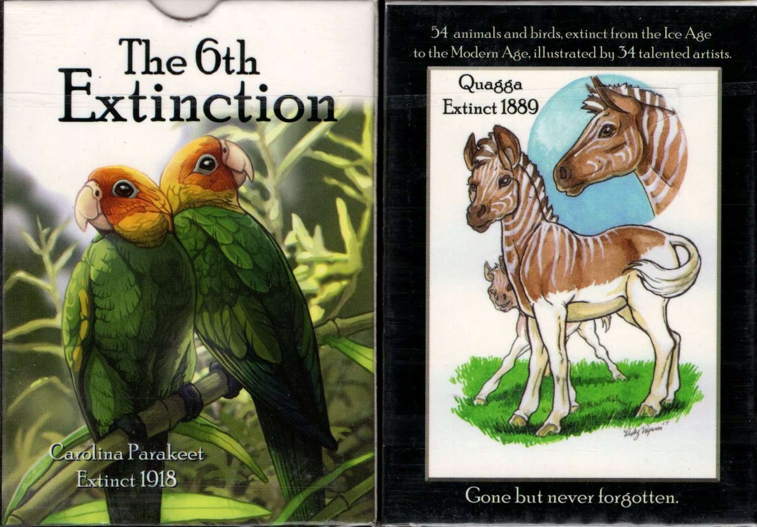The 6th Extinction Playing Cards TMCards