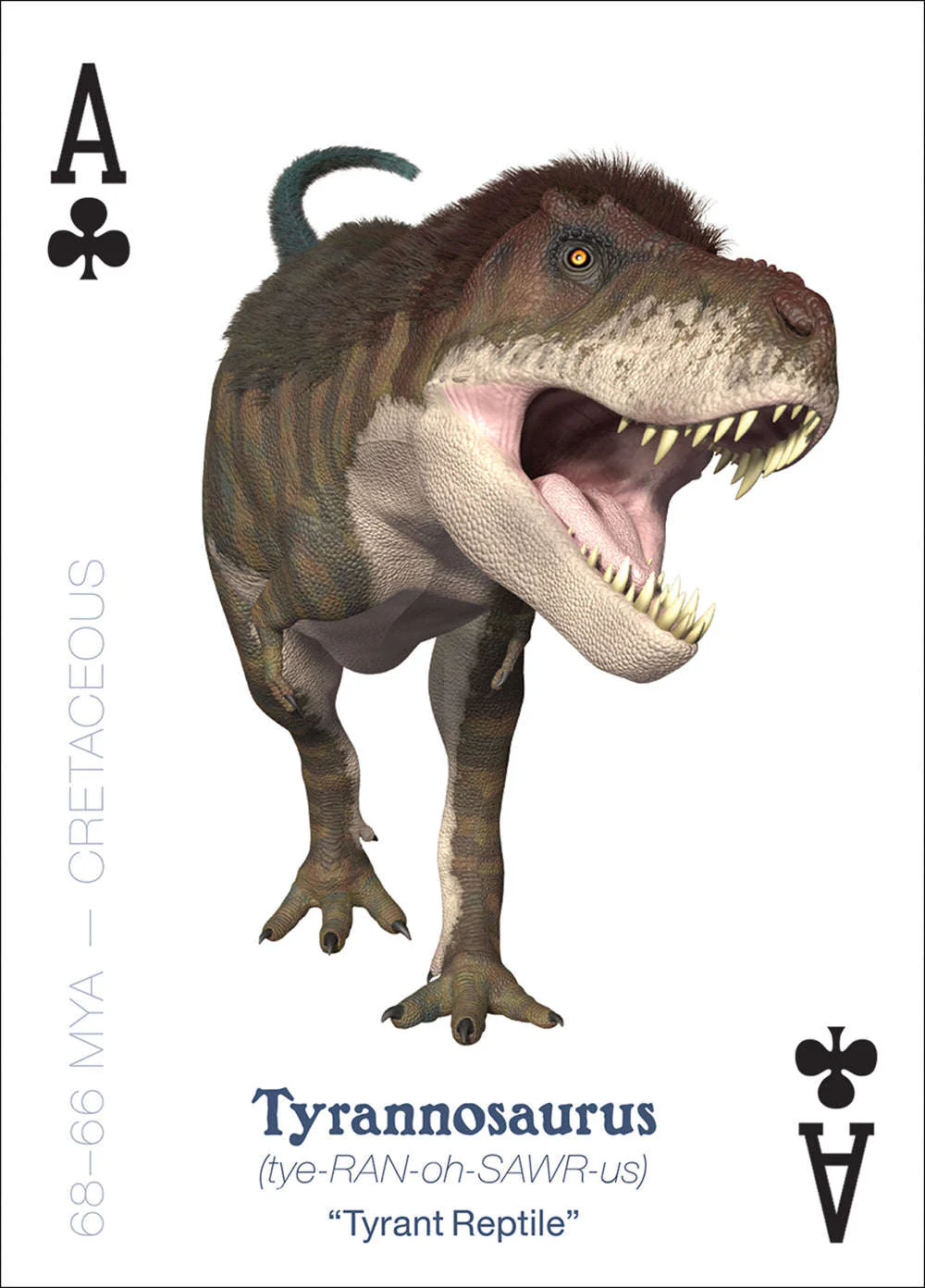 6827-the-amazing-world-of-dinosaurs-playing-cards-1.jpg