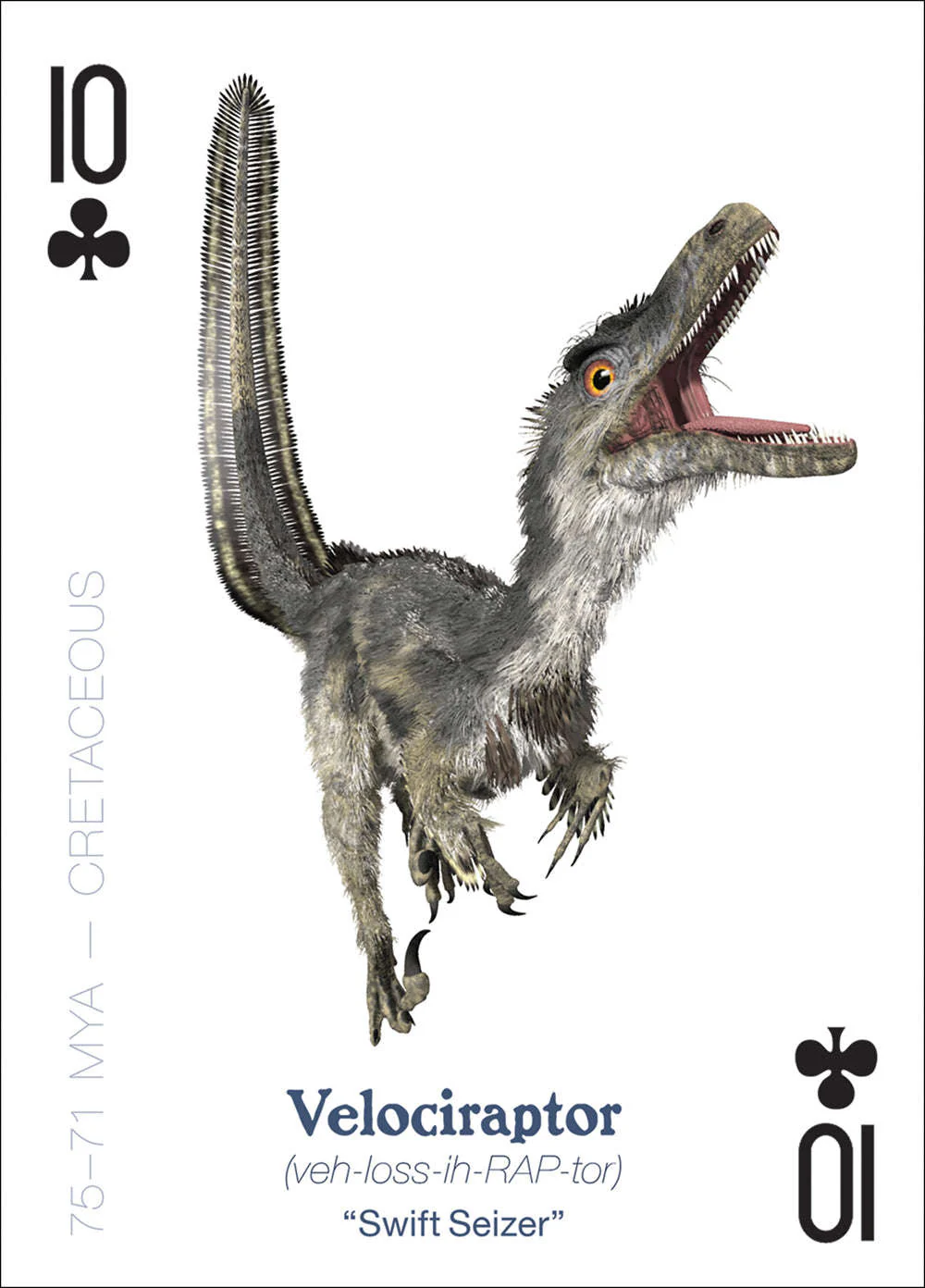 6827-the-amazing-world-of-dinosaurs-playing-cards-1.jpg