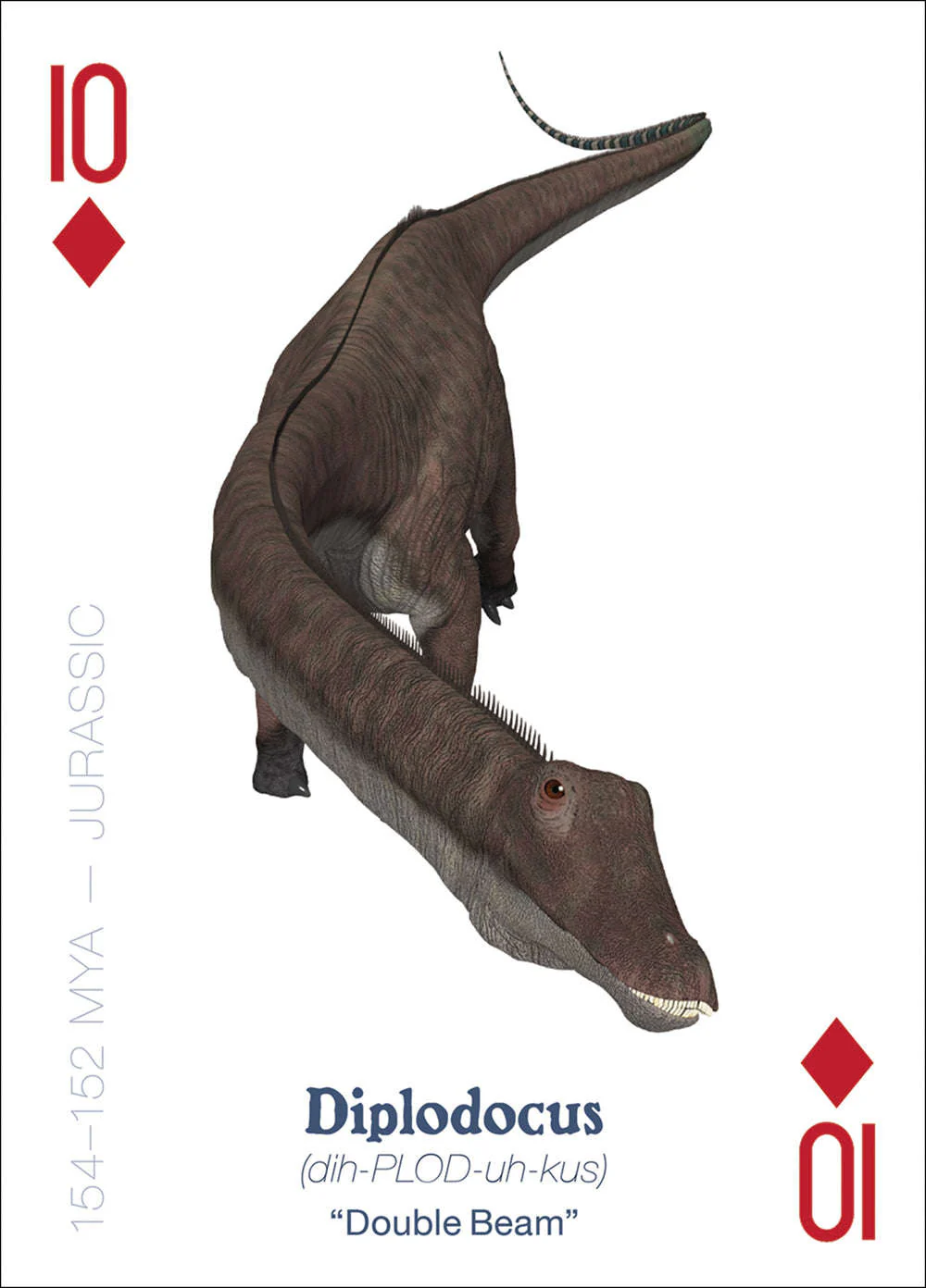 6827-the-amazing-world-of-dinosaurs-playing-cards-1.jpg
