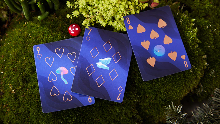 6901-the-dream-artic-solokid-playing-cards-mpc-1.jpg