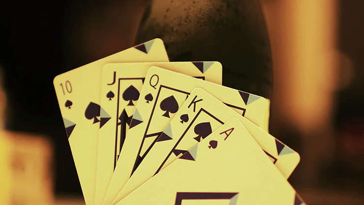 7236-transflux-playing-cards-uspcc-1.jpg