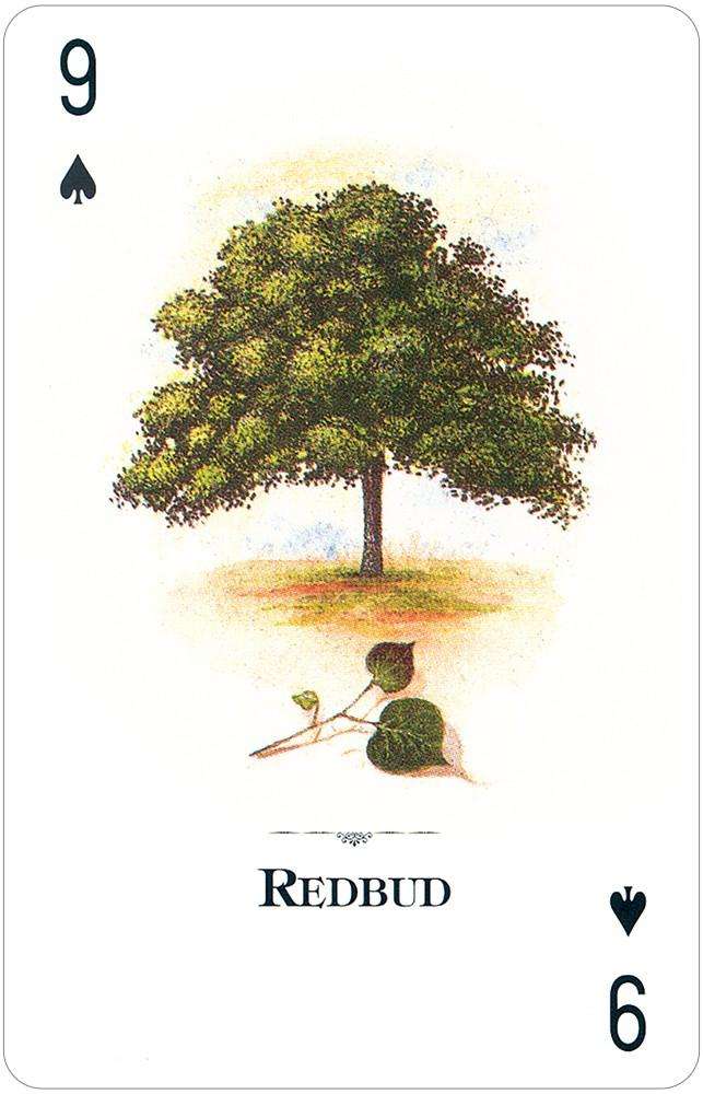 7260-trees-of-the-natural-world-playing-cards-usgs-1.jpg