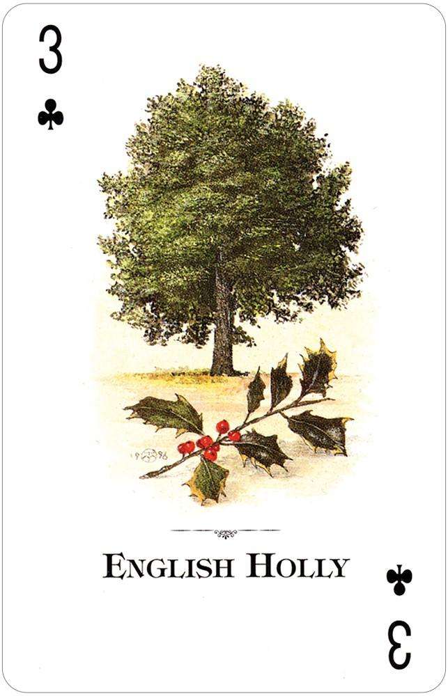 7260-trees-of-the-natural-world-playing-cards-usgs-1.jpg