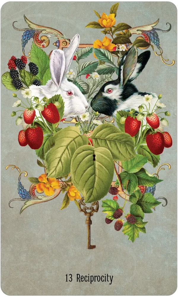 7416-unlocking-the-secret-garden-oracle-1.webp