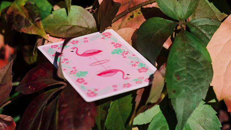7704-wild-marked-playing-cards-cartamundi-1.jpg