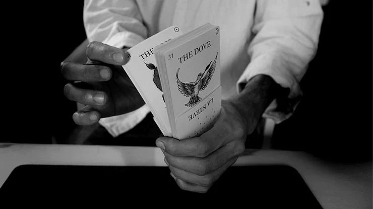 7807-wosek-deck-archetype-cards-1.jpg