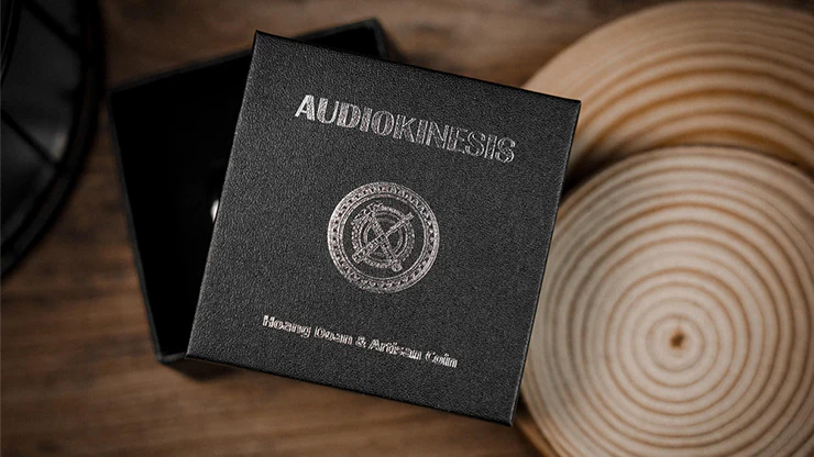 791-audiokinesis-by-hoang-doan-minh-artisan-coin-dollar-w-flash-drive–1.jpg