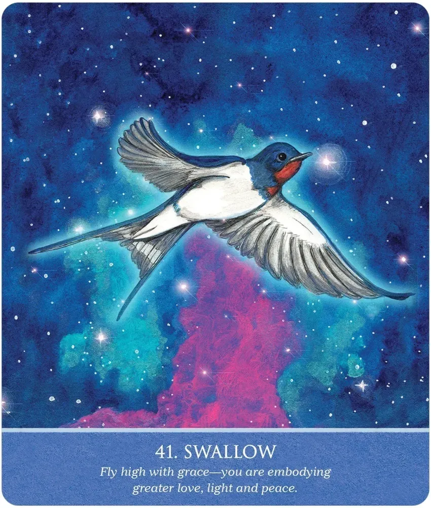 802-auspicious-symbols-for-luck-and-healing-oracle-deck-1.jpg