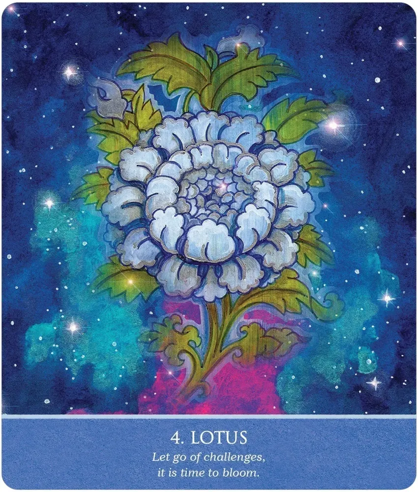 802-auspicious-symbols-for-luck-and-healing-oracle-deck-1.jpg