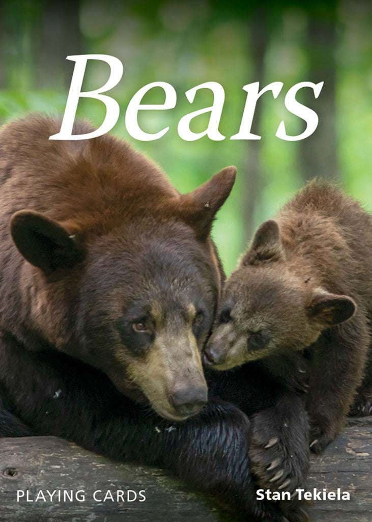 906-bears-playing-cards-1.jpg