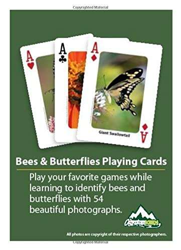 926-bees-butterflies-playing-cards-1.jpg
